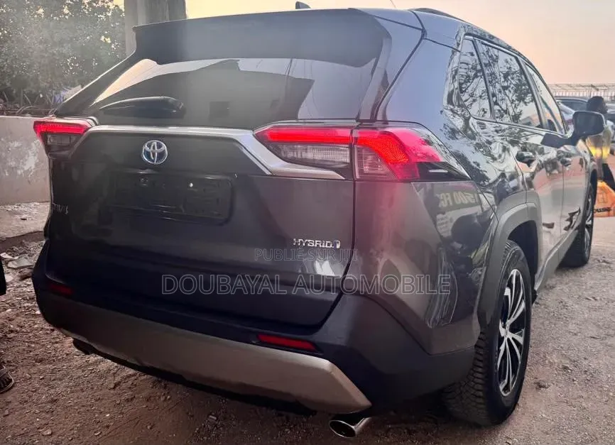 Toyota RAV4 2022 Gris
