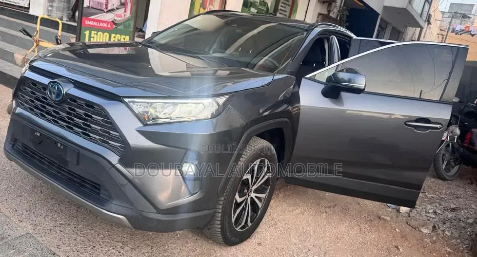 Toyota RAV4 2022 Gris