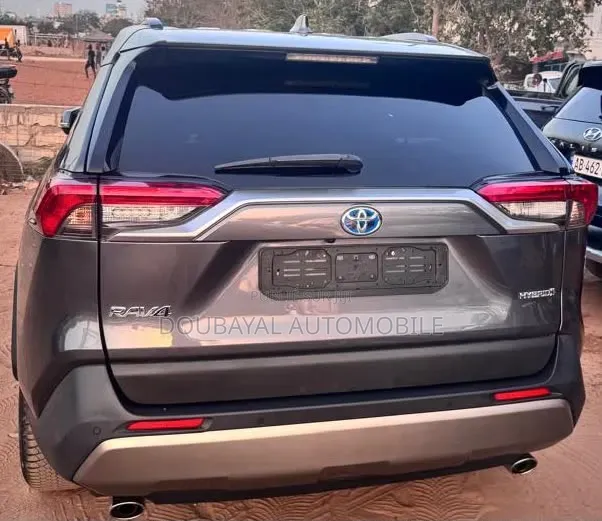 Toyota RAV4 2022 Gris