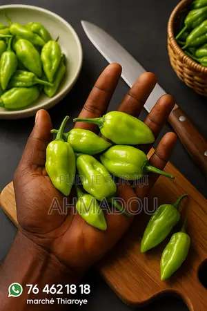 Disponible Chez Sophia Au Marché De Thiaroye