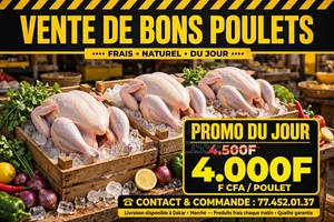 Poulet De Chair