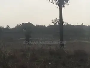 Terrain À Vendre À Nianing – Mbour