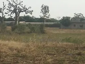 Terrain À Vendre À Nianing – Mbour