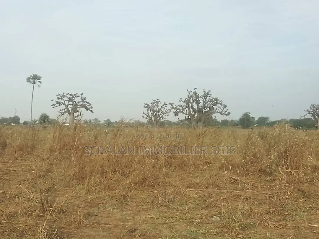 Terrain À Vendre À Nianing – Mbour