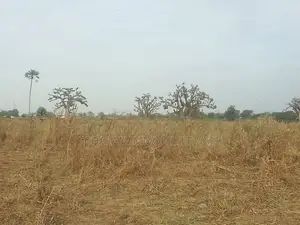 Terrain À Vendre À Nianing – Mbour