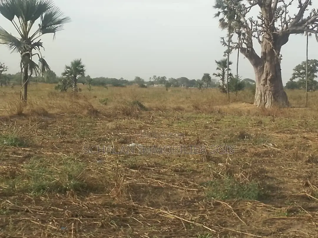 Terrain À Vendre À Nianing – Mbour
