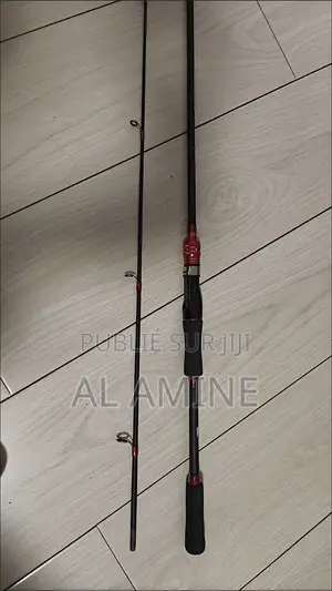 Canne À Pêche 2m40 Toute Neuve