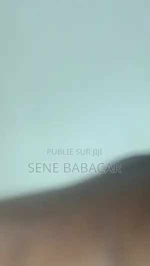 Pointe Sarene