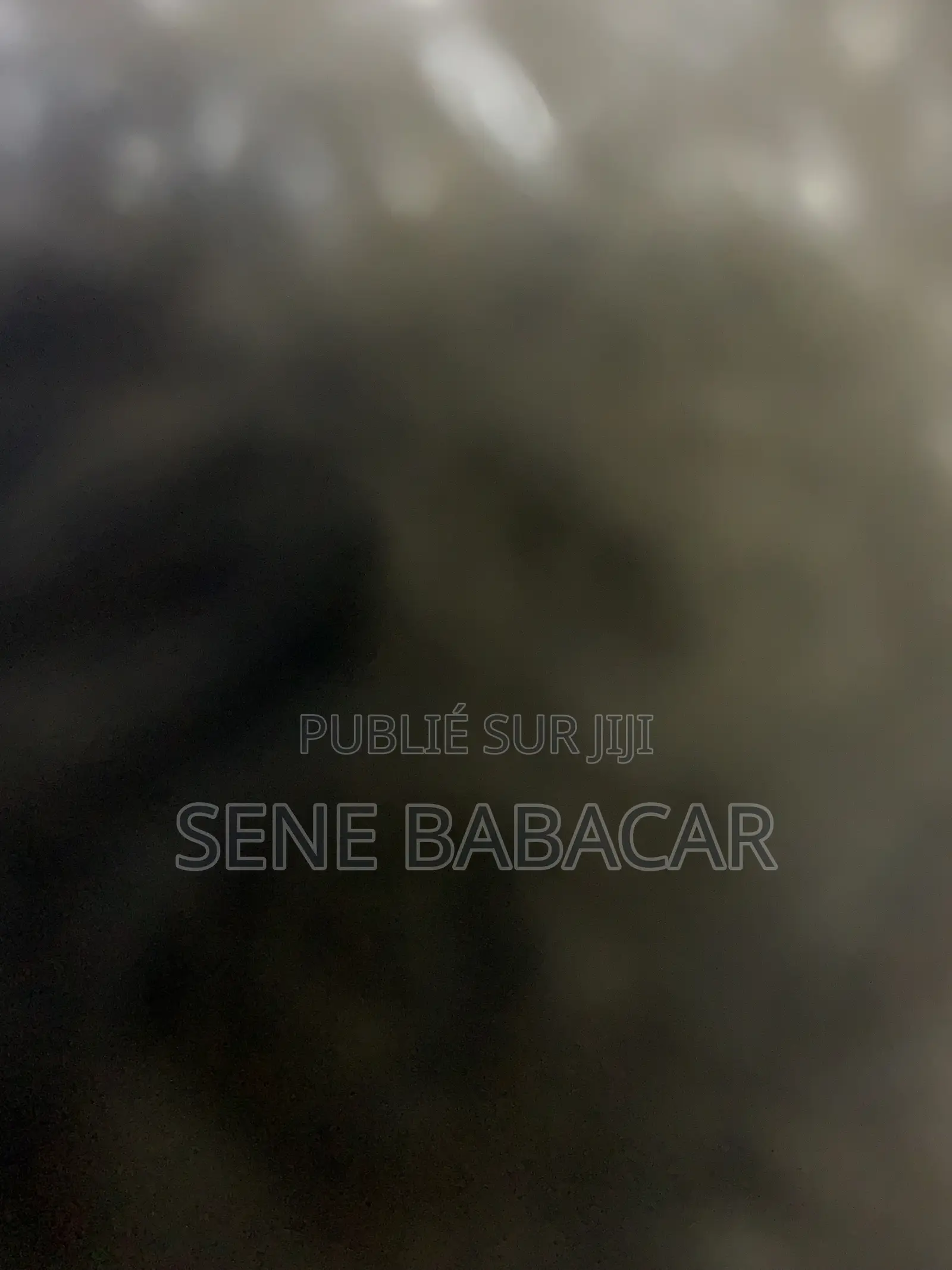 Pointe Sarene