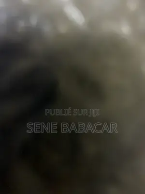 Pointe Sarene