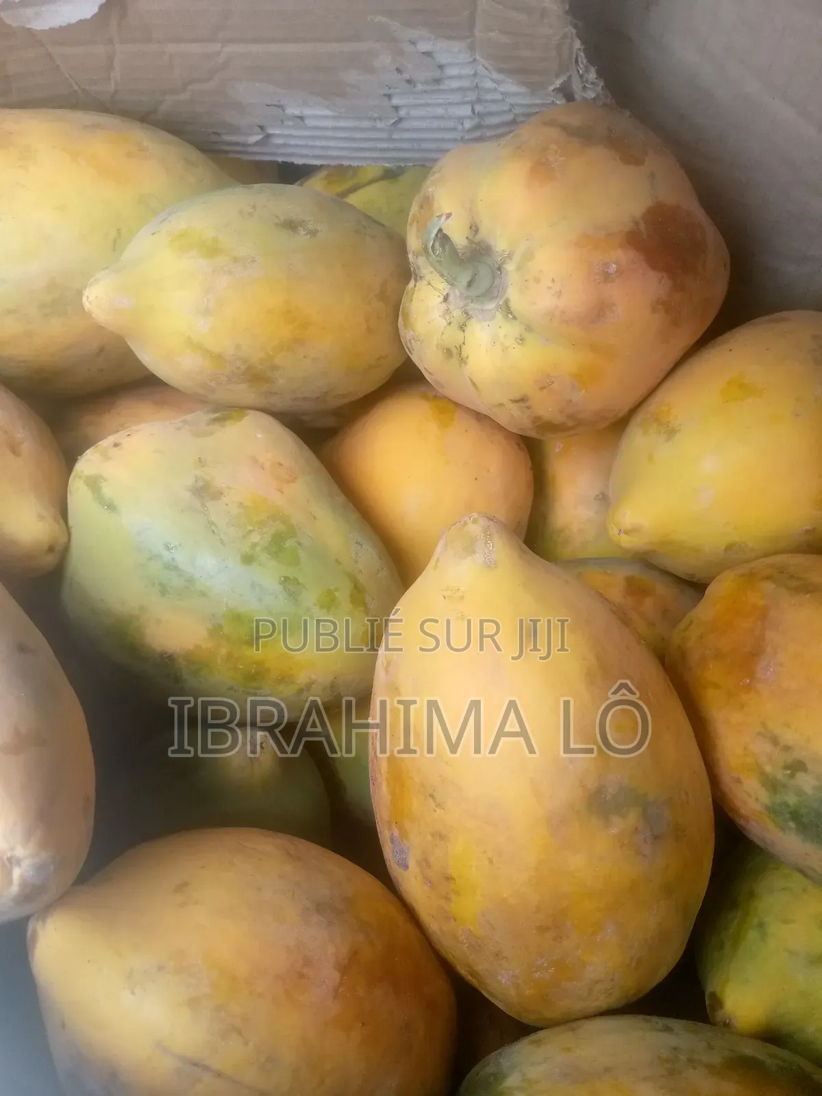 Papaya Passion Melon