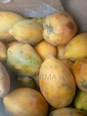 Papaya Passion Melon