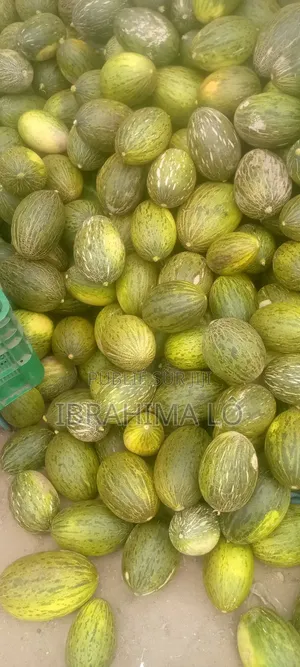 Papaya Passion Melon