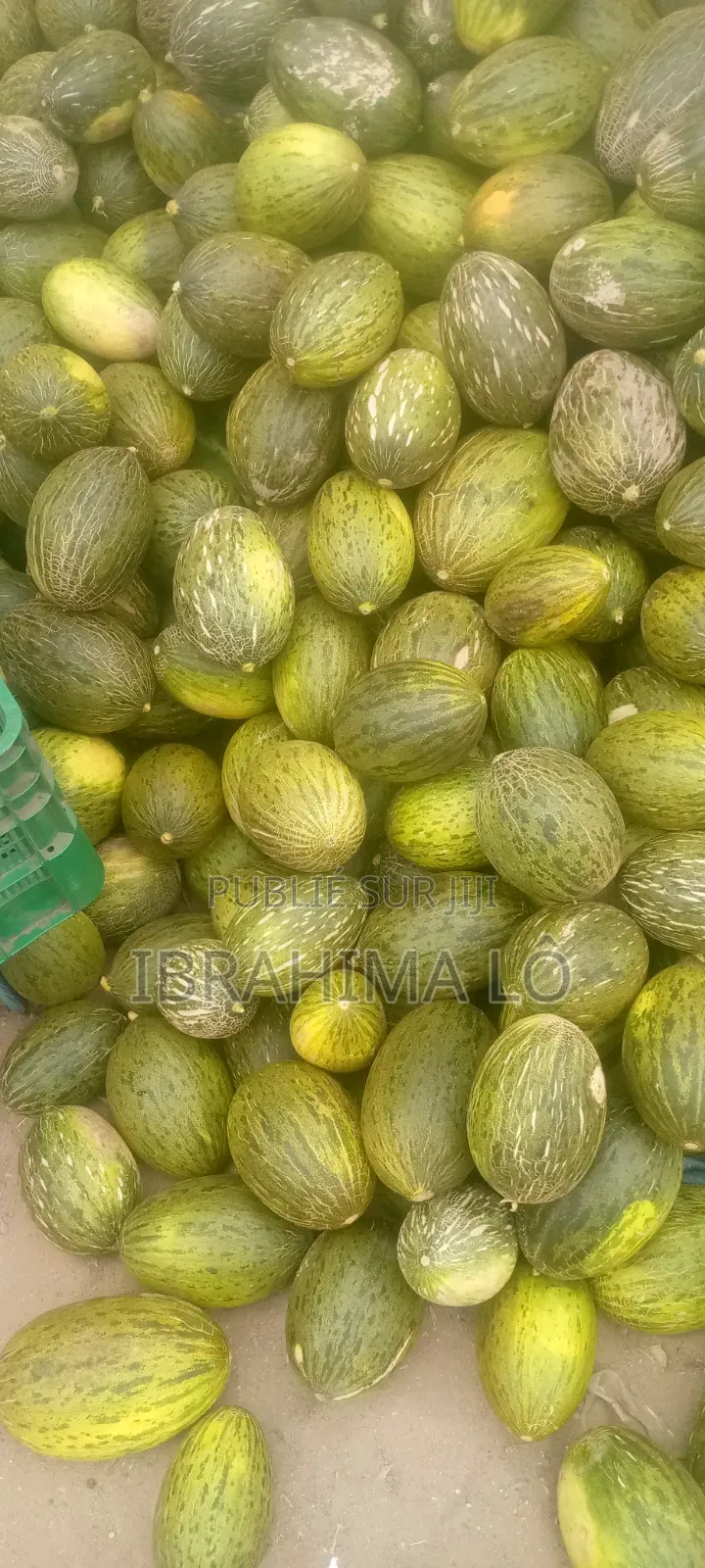 Papaya Passion Melon