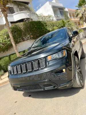 Jeep Grand Cherokee 2019 Gris