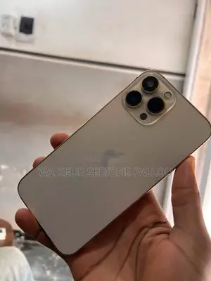 Nouveau Apple iPhone 13 Pro Max 512 GB Gris