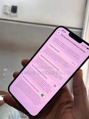 Nouveau Apple iPhone 13 Pro Max 512 GB Gris