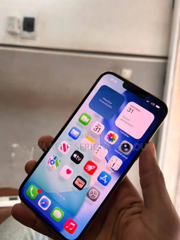 Nouveau Apple iPhone 13 Pro Max 512 GB Gris