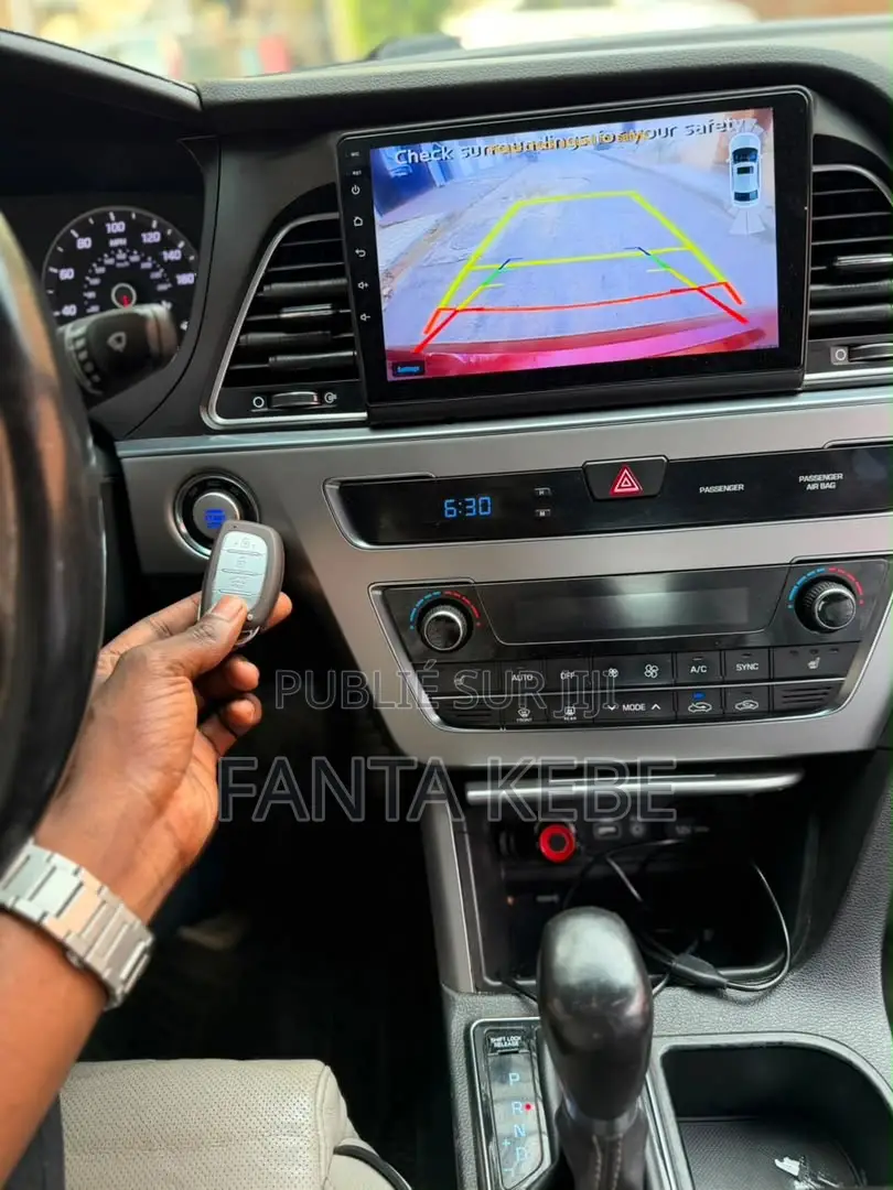 Hyundai Sonata 2015 Rouge