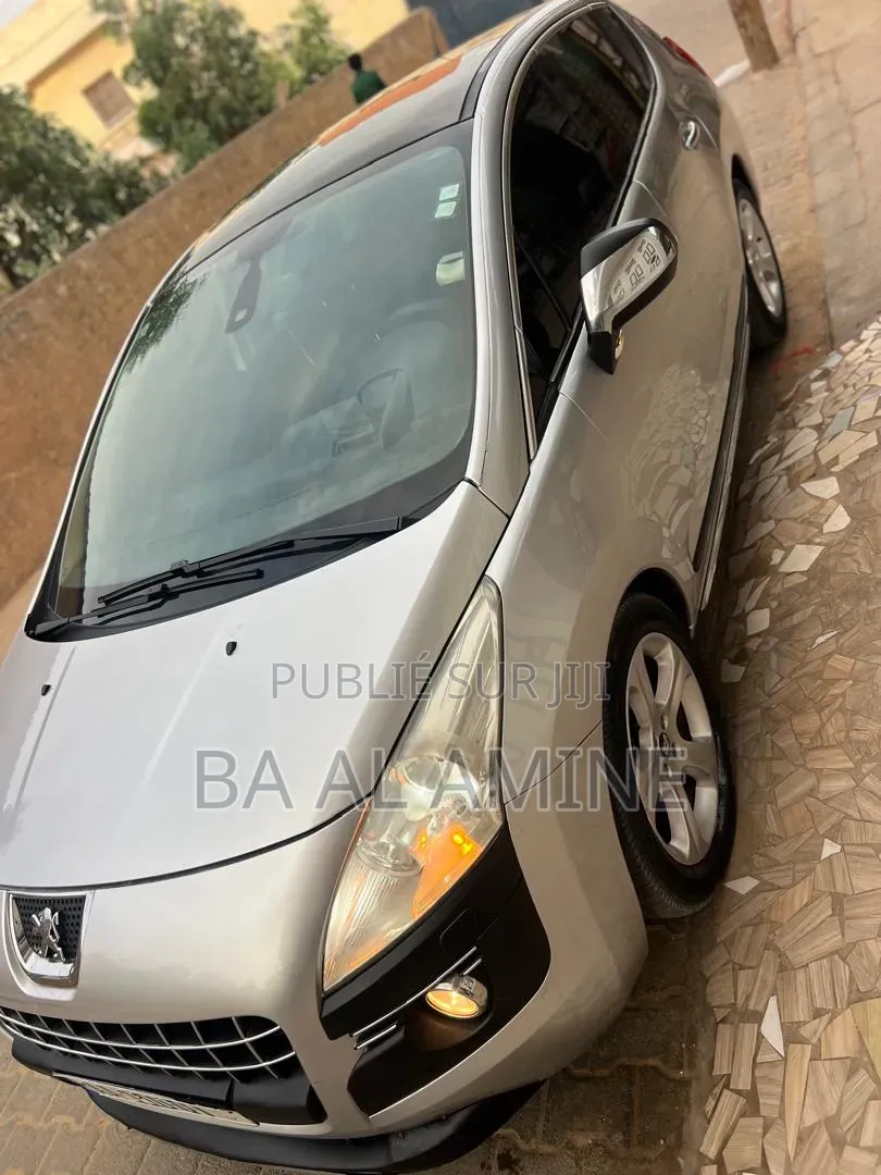 Peugeot 3008 2012 Gris