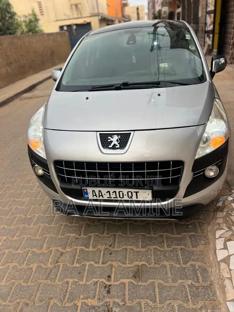 Peugeot 3008 2012 Gris