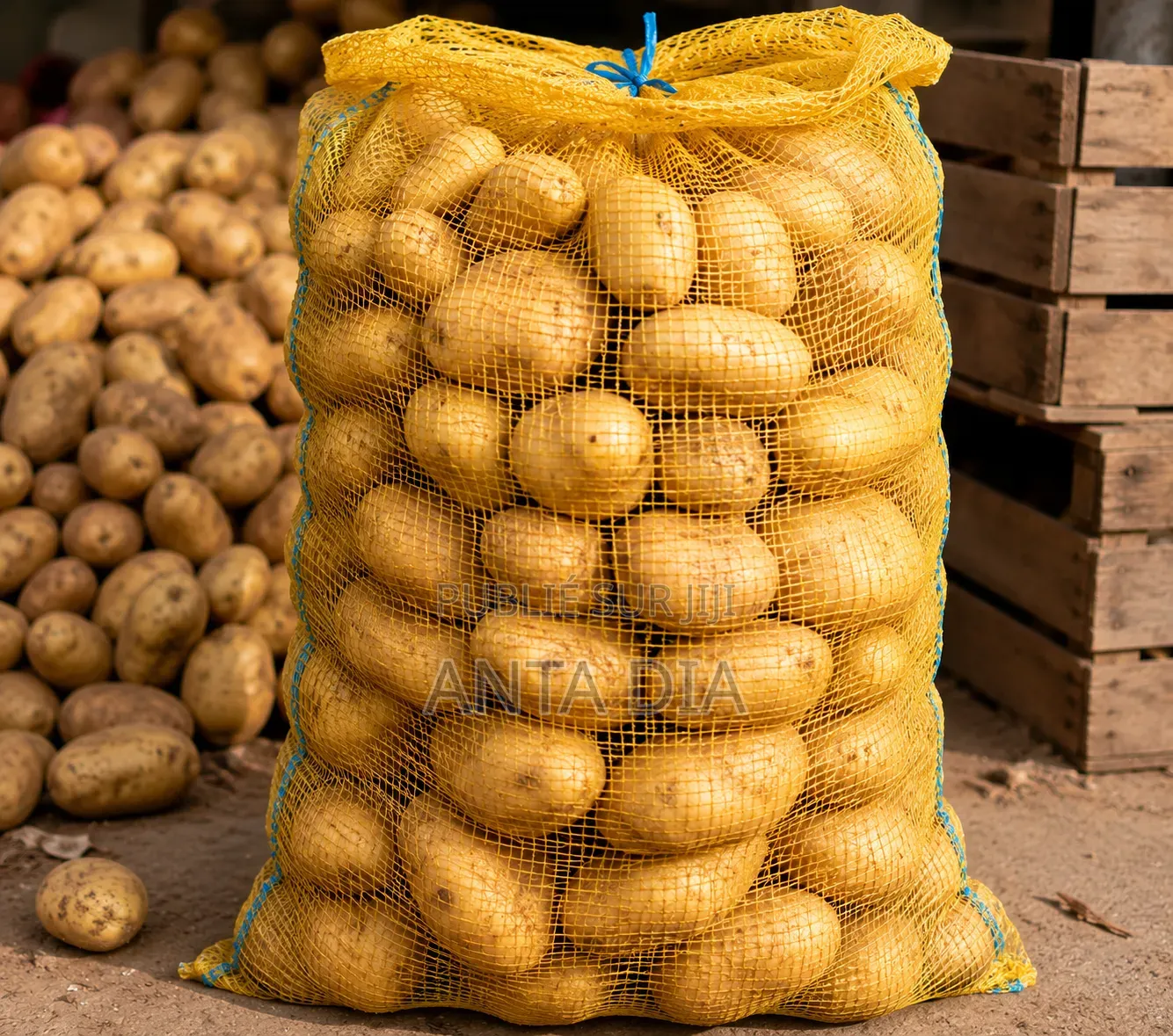 Ventes De Legumes