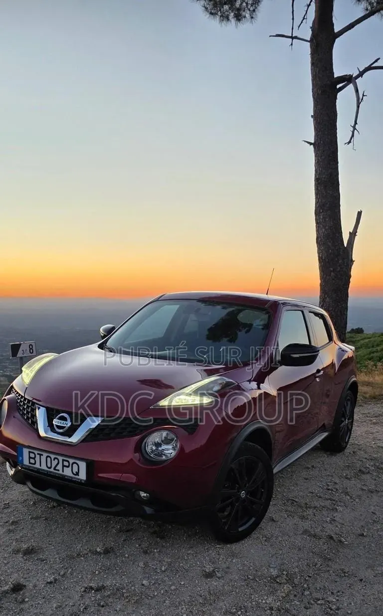 Nissan Qashqai 2015 Rouge