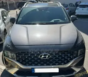Hyundai Santa Fe 2022 Gris