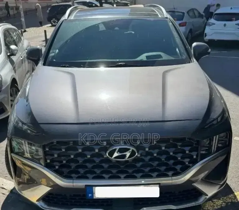 Hyundai Santa Fe 2022 Gris
