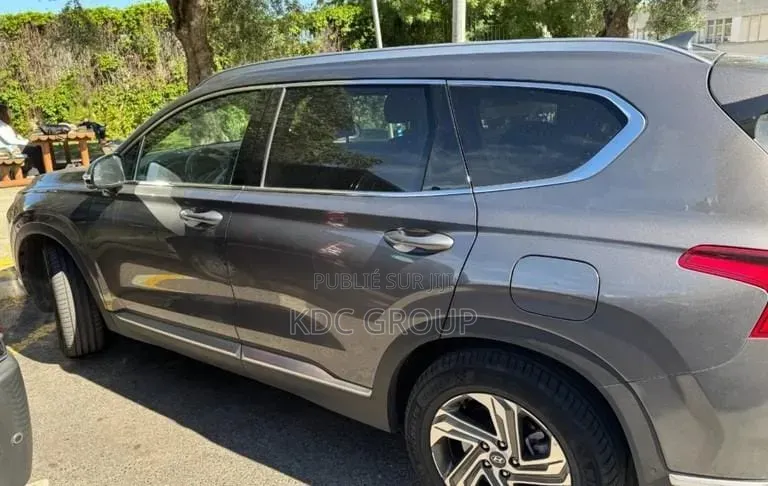 Hyundai Santa Fe 2022 Gris