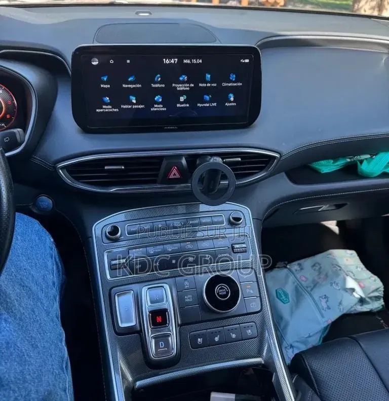 Hyundai Santa Fe 2022 Gris