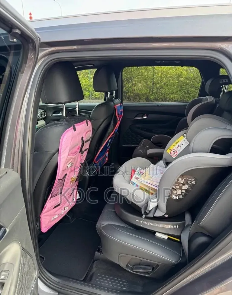 Hyundai Santa Fe 2022 Gris