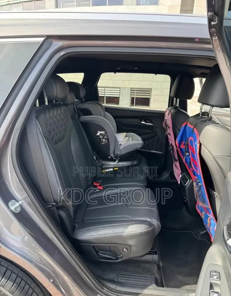 Hyundai Santa Fe 2022 Gris