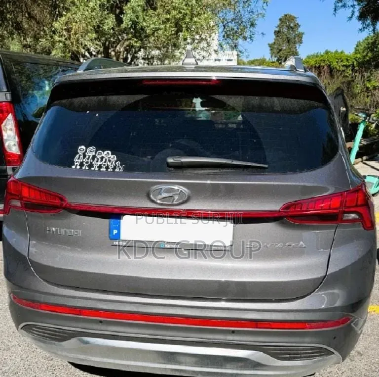 Hyundai Santa Fe 2022 Gris