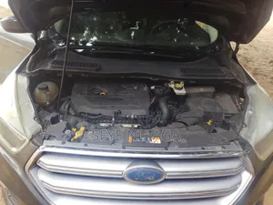 Ford Escape 2017 Marron