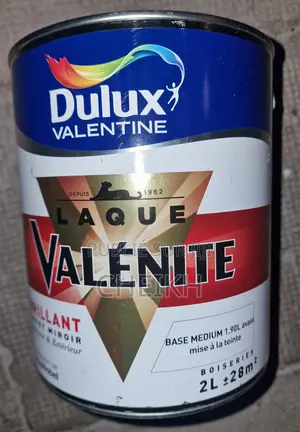 Peintures Produits De Traitement Bois Et Métal–qualité Européenne