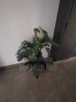 2chbre Appartement dans Patricia, Fann-Point E-Amitié à Louer