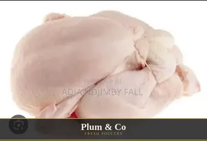 Plum and Co
