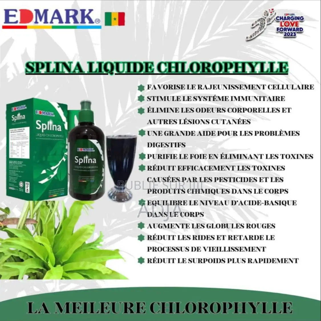 Splina Liquide
