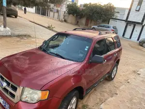 Ford Escape 2010 Rouge