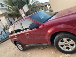 Ford Escape 2010 Rouge
