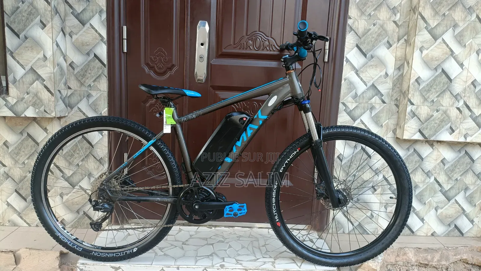 Ebike Bicyclette Électrique