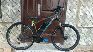 Ebike Bicyclette Électrique