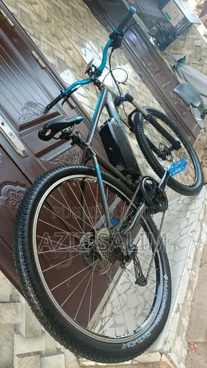 Ebike Bicyclette Électrique