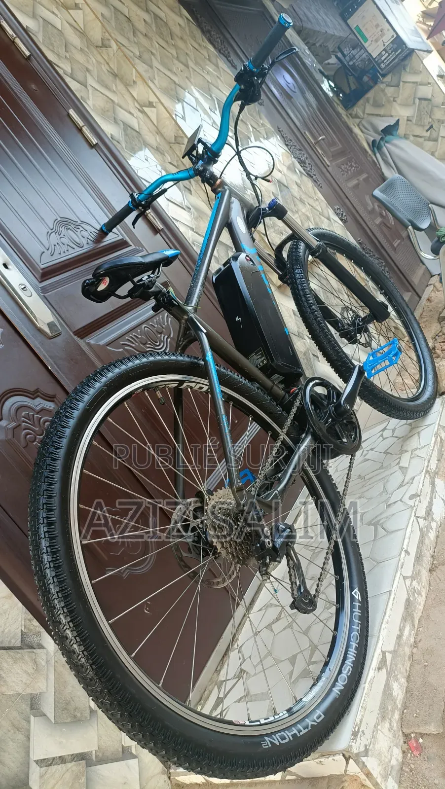 Ebike Bicyclette Électrique