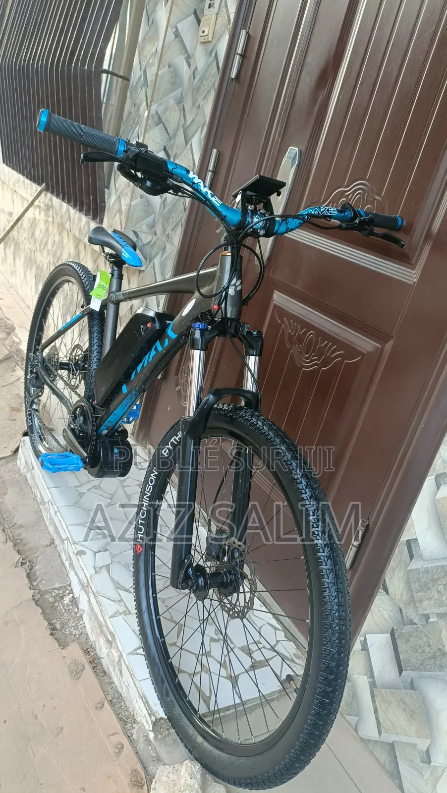 Ebike Bicyclette Électrique