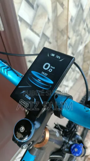 Ebike Bicyclette Électrique