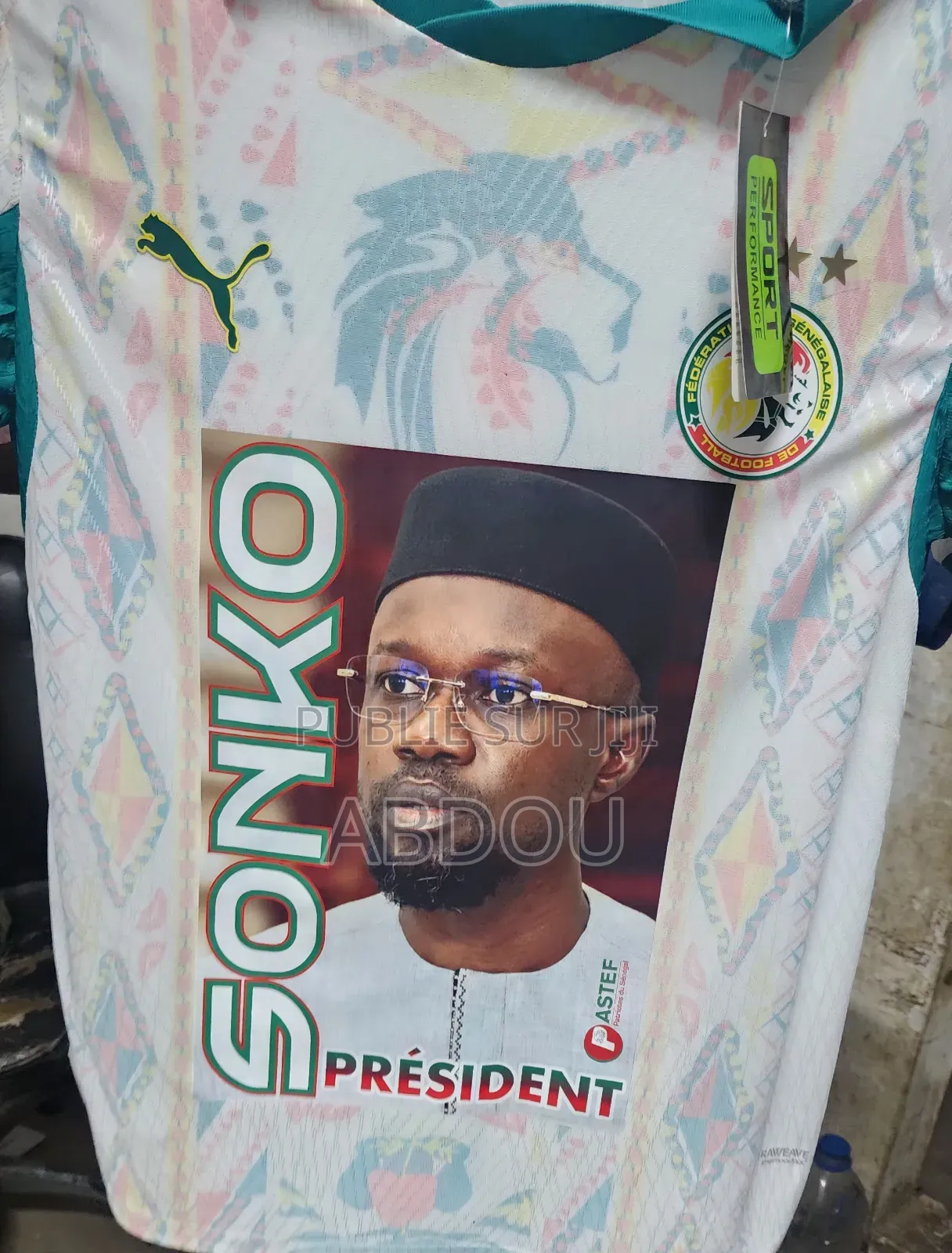 Sonko 2029