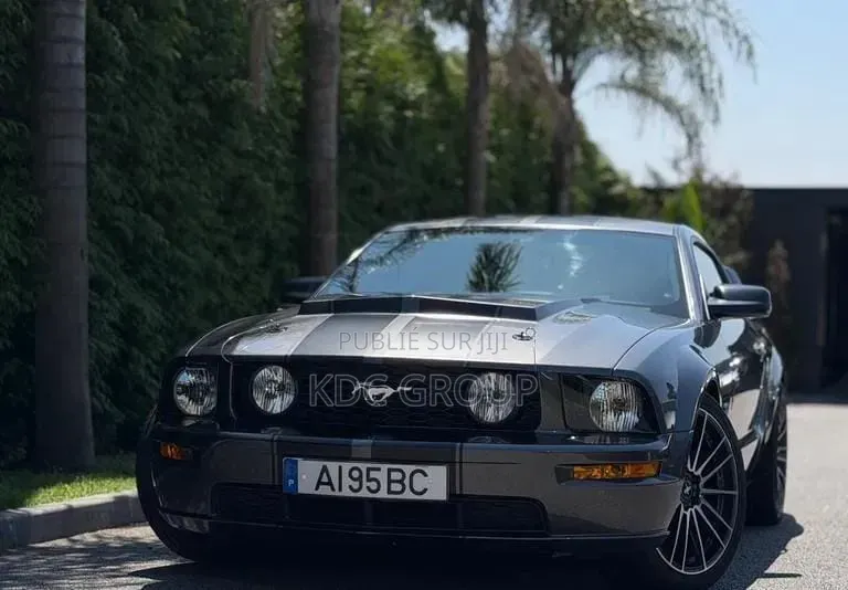 Ford Mustang 2007 Gris