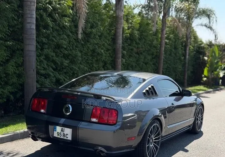 Ford Mustang 2007 Gris